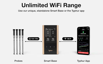 Typhur Sync Gold